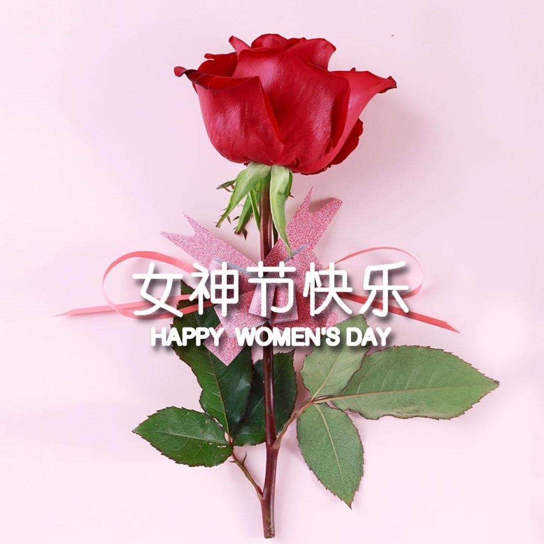 女神节特辑丨以医疗力量，筑女性健康